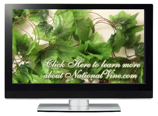 National Vines Video